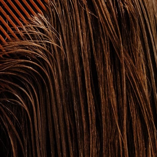 Blowout Membership at Amanda B Hair Artistry in Burleson, TX